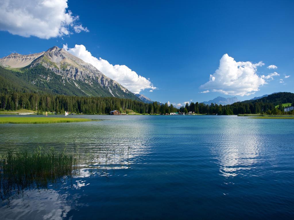 Schweizerhof Ferienwohnungen Lenzerheide 1 Ngoại thất bức ảnh